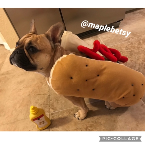 Frisco Other - Dog Halloween costume hot dog costume size L